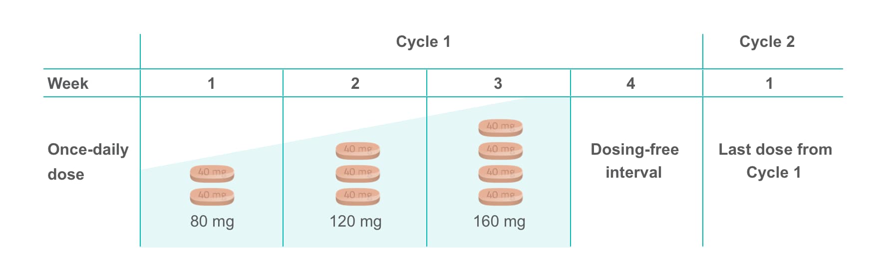 Table on the STIVARGA® (regorafenib) dose escalation schedule. Cycle 1: 80 mg (2 tablets) in Week 1, 120 mg (3 tablets) in Week 2, 160 mg (4 tablets) in Week 3, dosing-free interval in Week 4. Cycle 2: Last dose from Cycle 1 in Week 1.