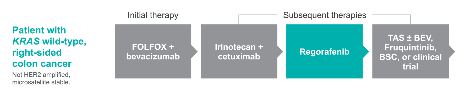 Treatment pathway for Jane Treatment pathway for Jane - Patient with KRAS wild colon cancer