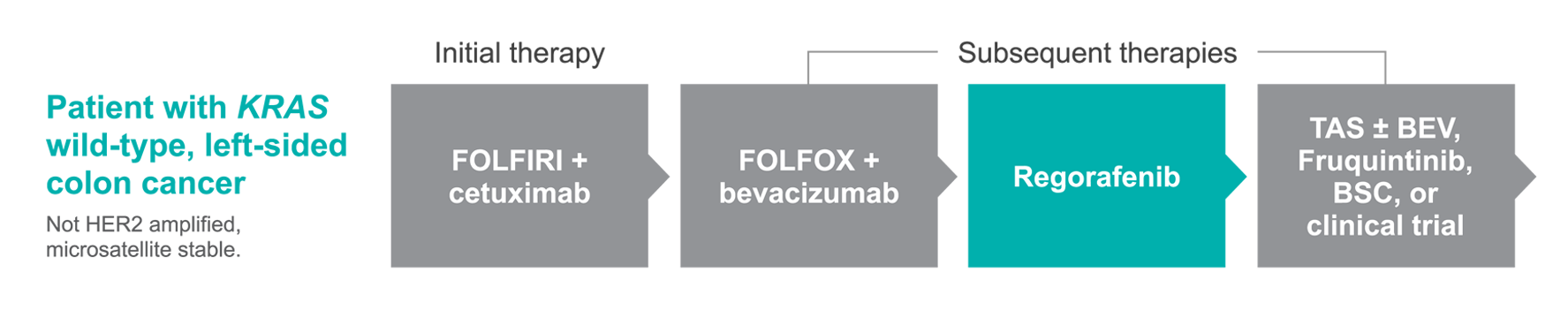 Treatment pathway for Hector - Patient with KRAS wild colon cancer